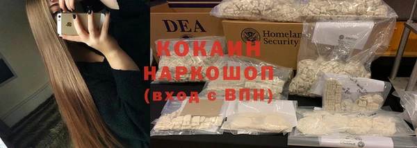 индика Армянск