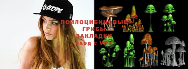 дурь Аркадак