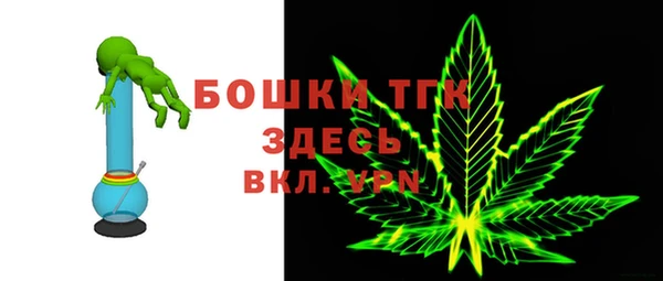 экстази Арсеньев