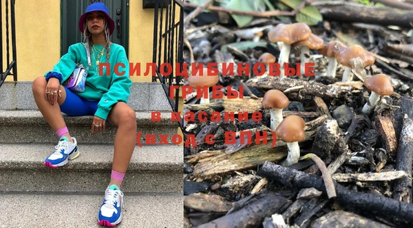 индика Армянск