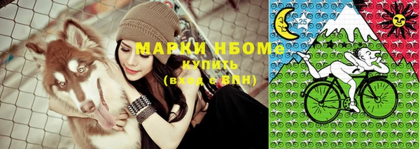 индика Армянск