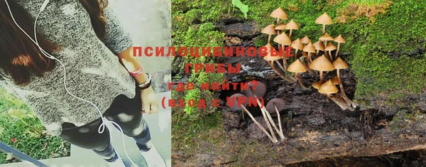 индика Армянск