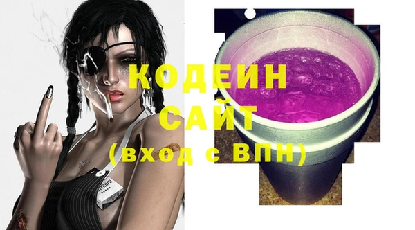 индика Армянск