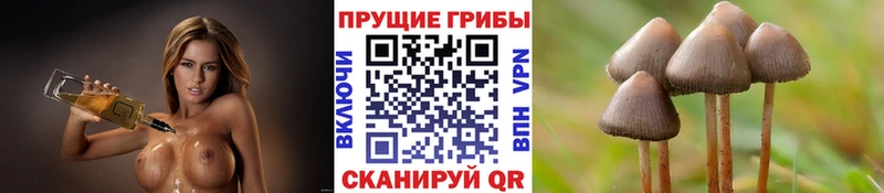Галлюциногенные грибы ЛСД  Калачинск 